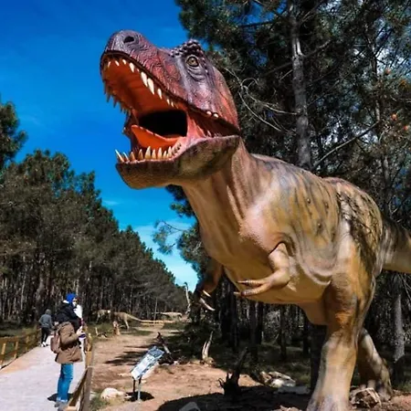 Сasa de vacaciones The Sunset Spot São Bartolomeu