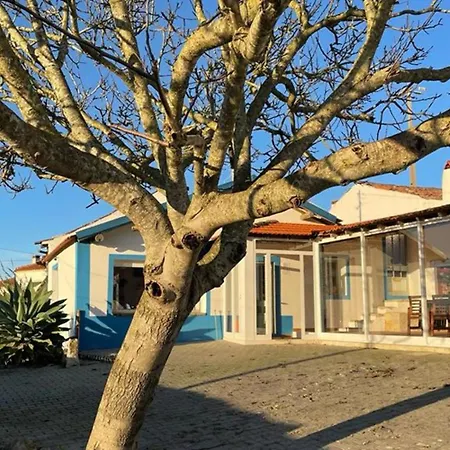 The Sunset Spot Сasa de vacaciones São Bartolomeu